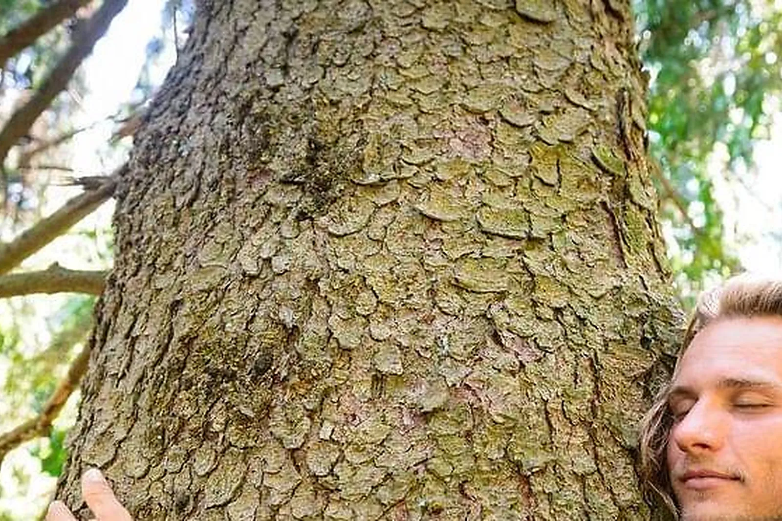 Lieux événementiels, LES CABANES D'HESTIA