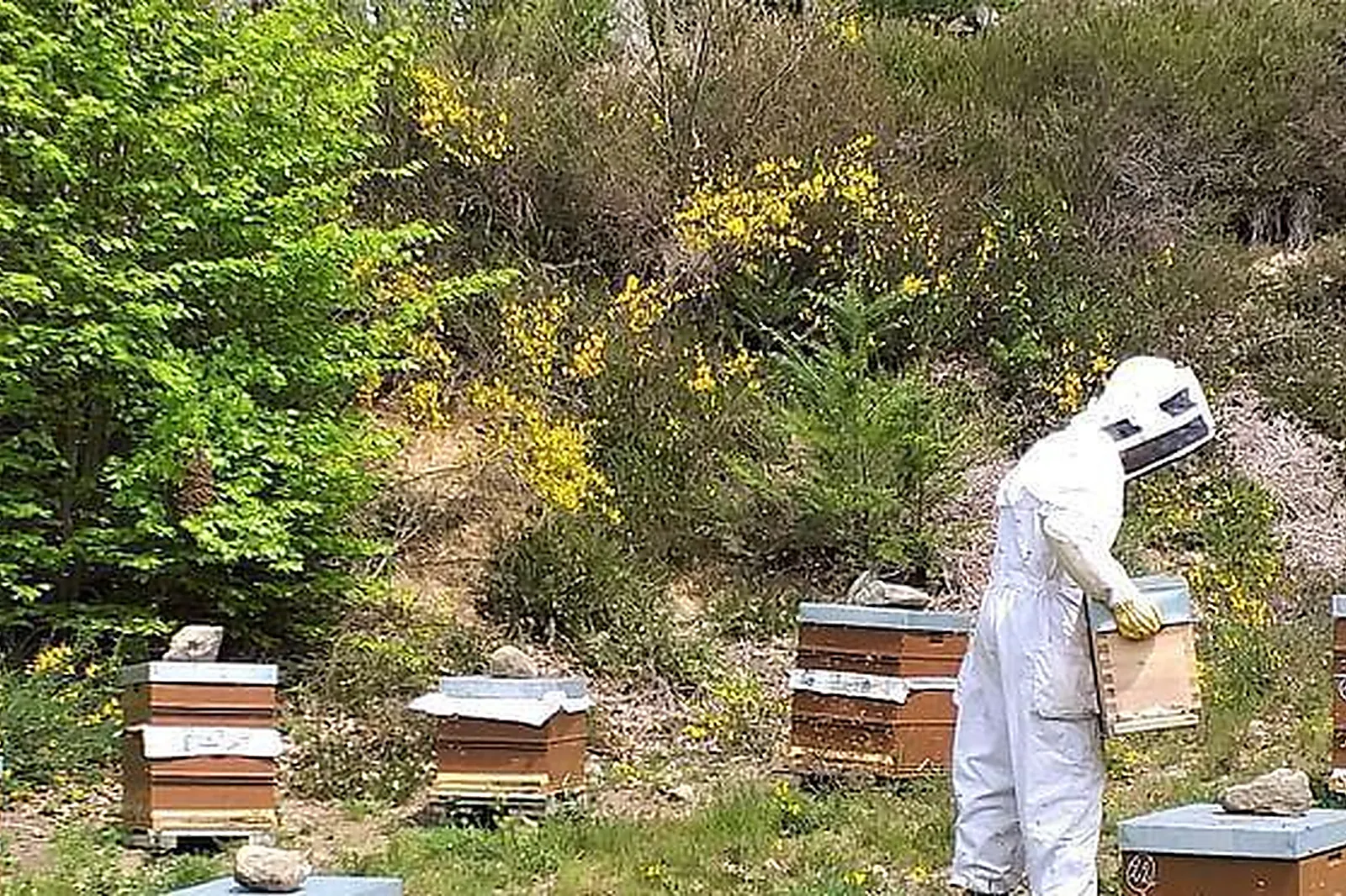 Lieux événementiels, LES CABANES D'HESTIA