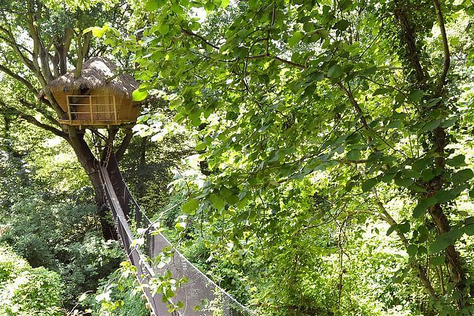 Lieux événementiels, LES CABANES DE FONTAINE