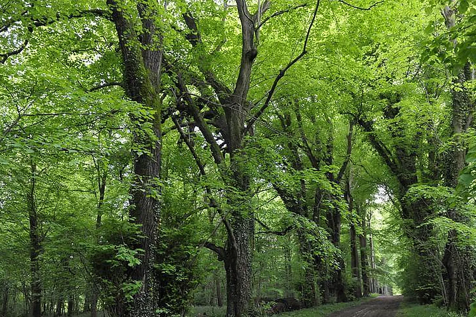 Lieux événementiels, LES CABANES DE FONTAINE