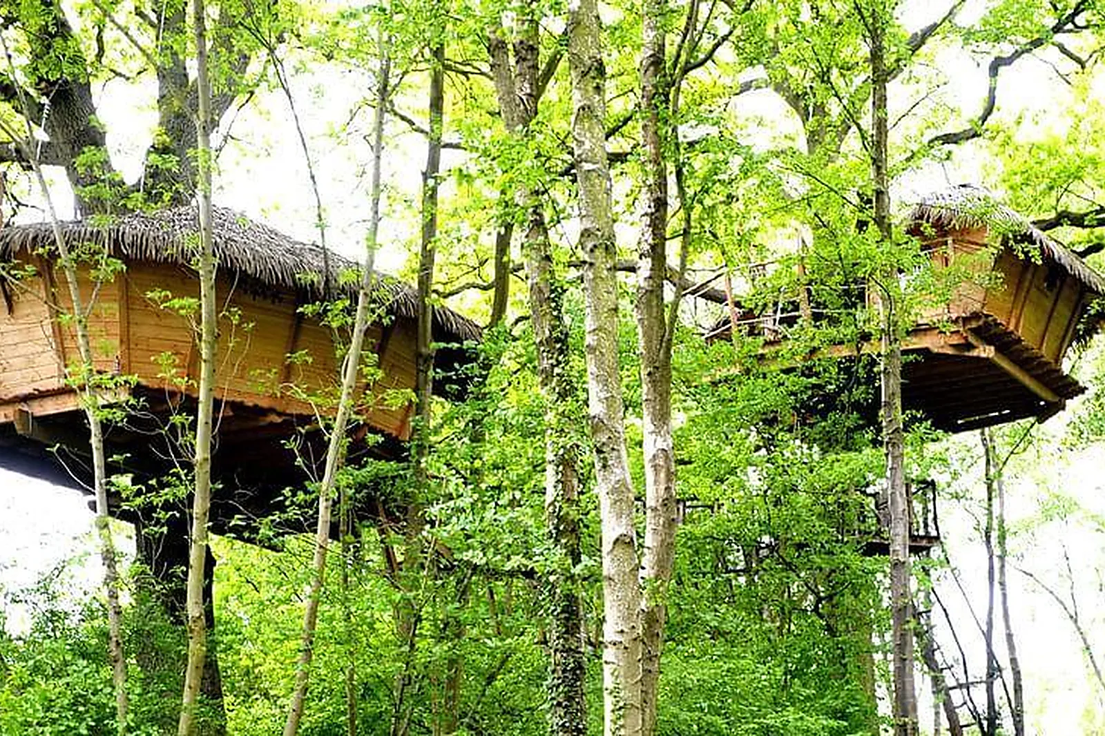 Lieux événementiels, LES CABANES DE FONTAINE