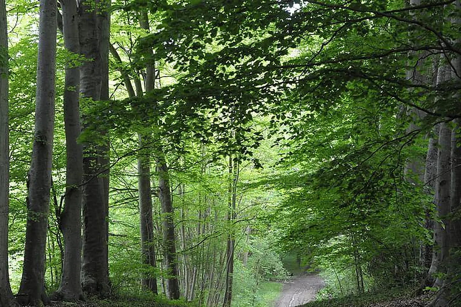 Lieux événementiels, LES CABANES DE FONTAINE