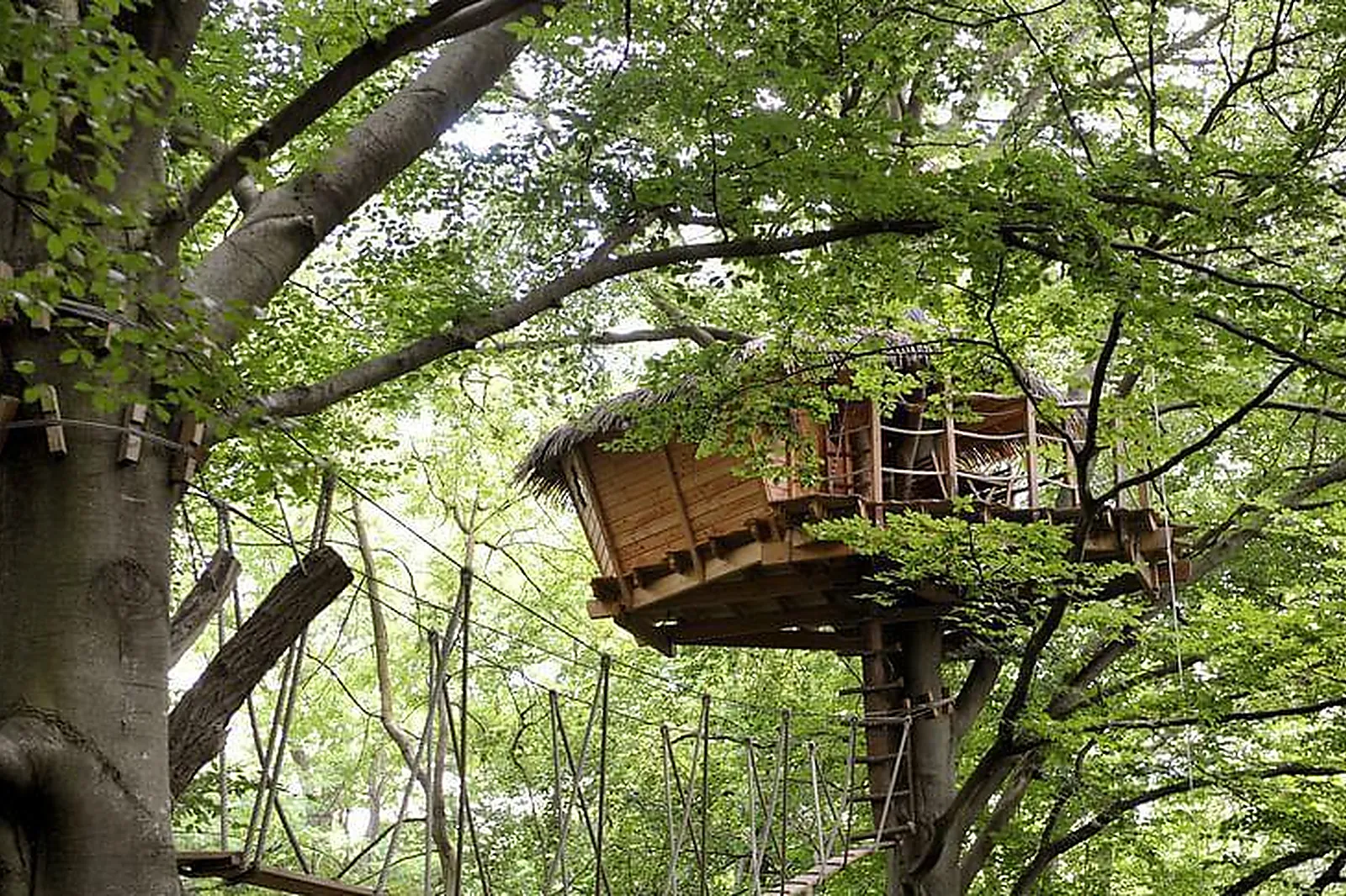 Lieux événementiels, LES CABANES DE FONTAINE
