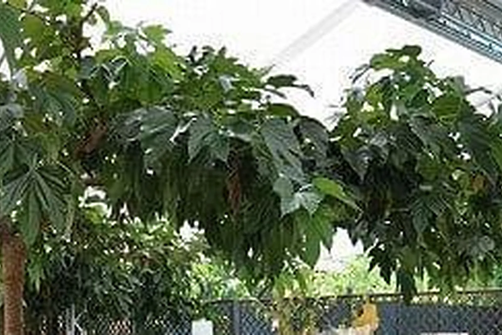 Lieux événementiels, L'ALCÔVE ORGEVAL