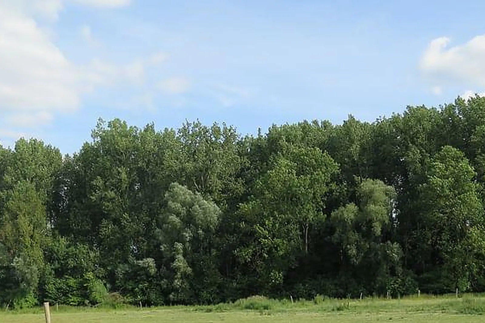 Lieux événementiels, LES COLOMBINES