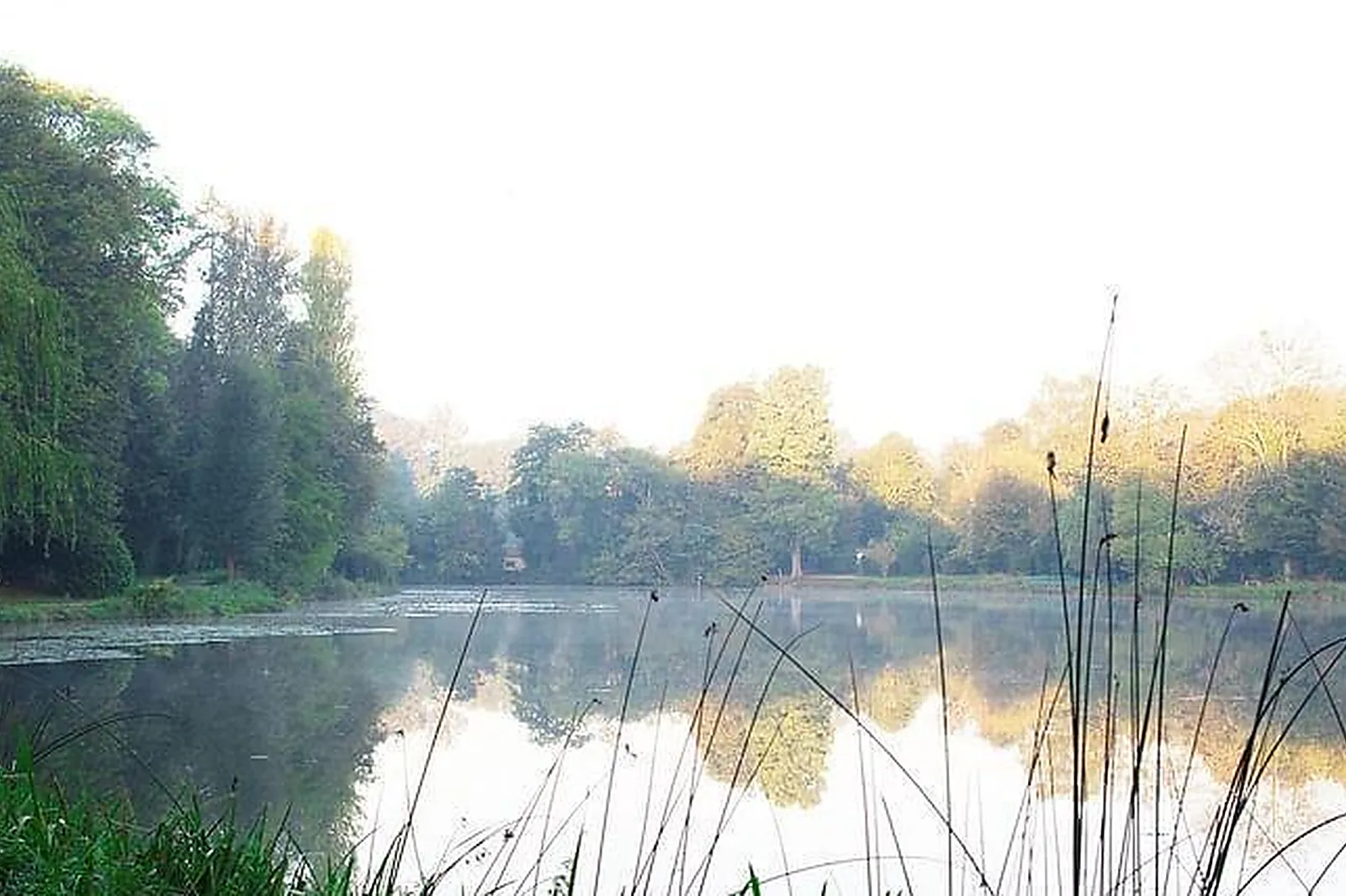 Lieux événementiels, LES ETANGS DE COROT ****