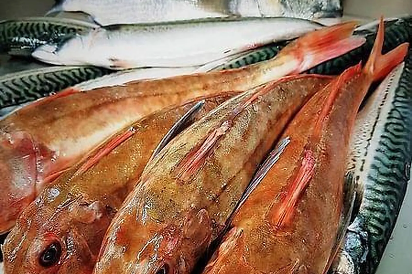 Lieux événementiels, LES ETANGS DE L'ABBAYE