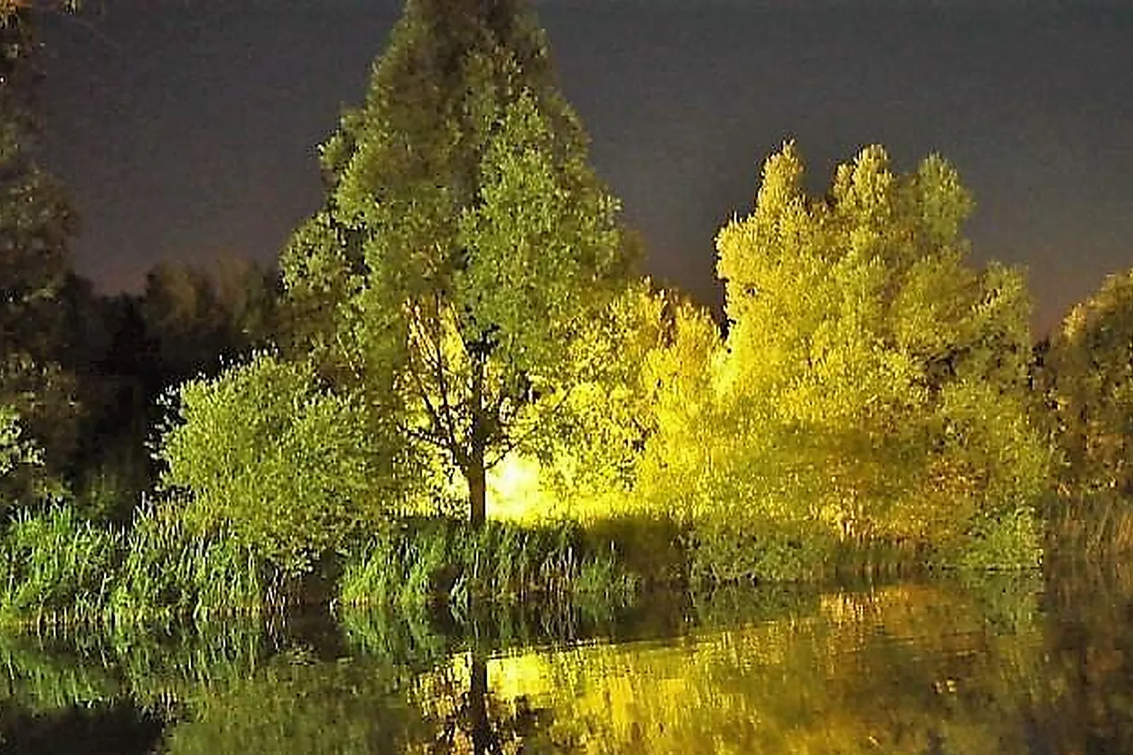Lieux événementiels, LES ETANGS DE L'ABBAYE