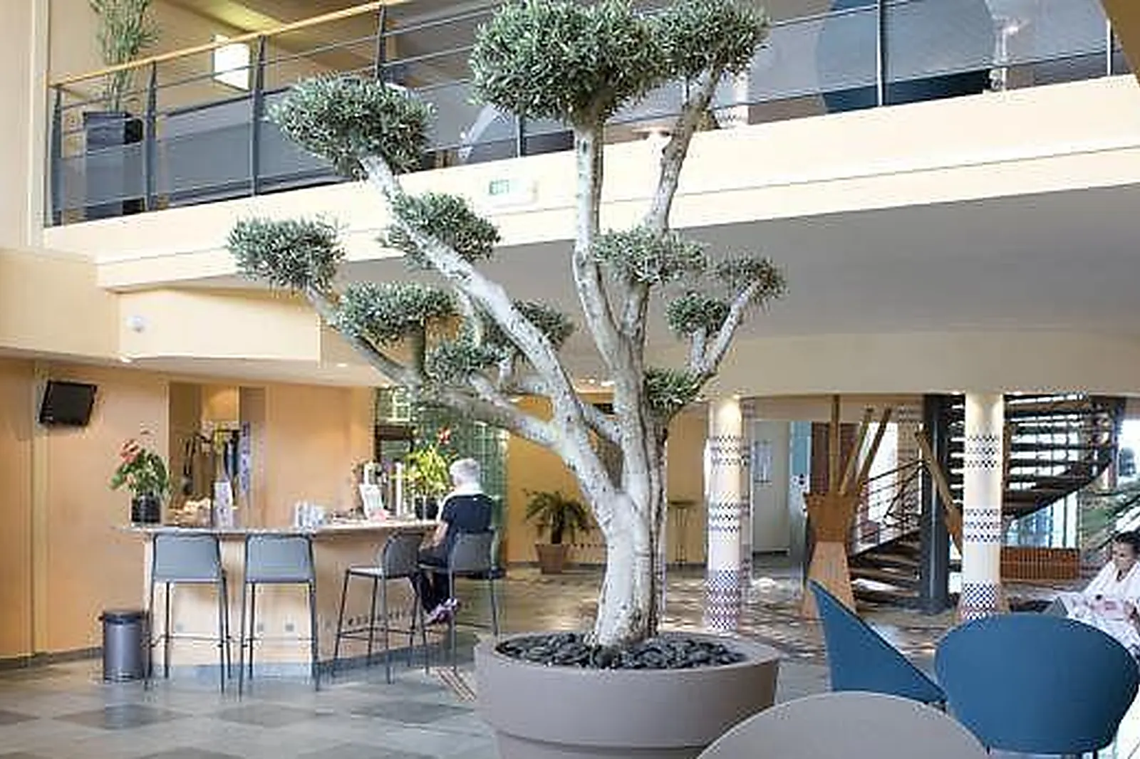 Lieux événementiels, LES FLAMANTS ROSES ****