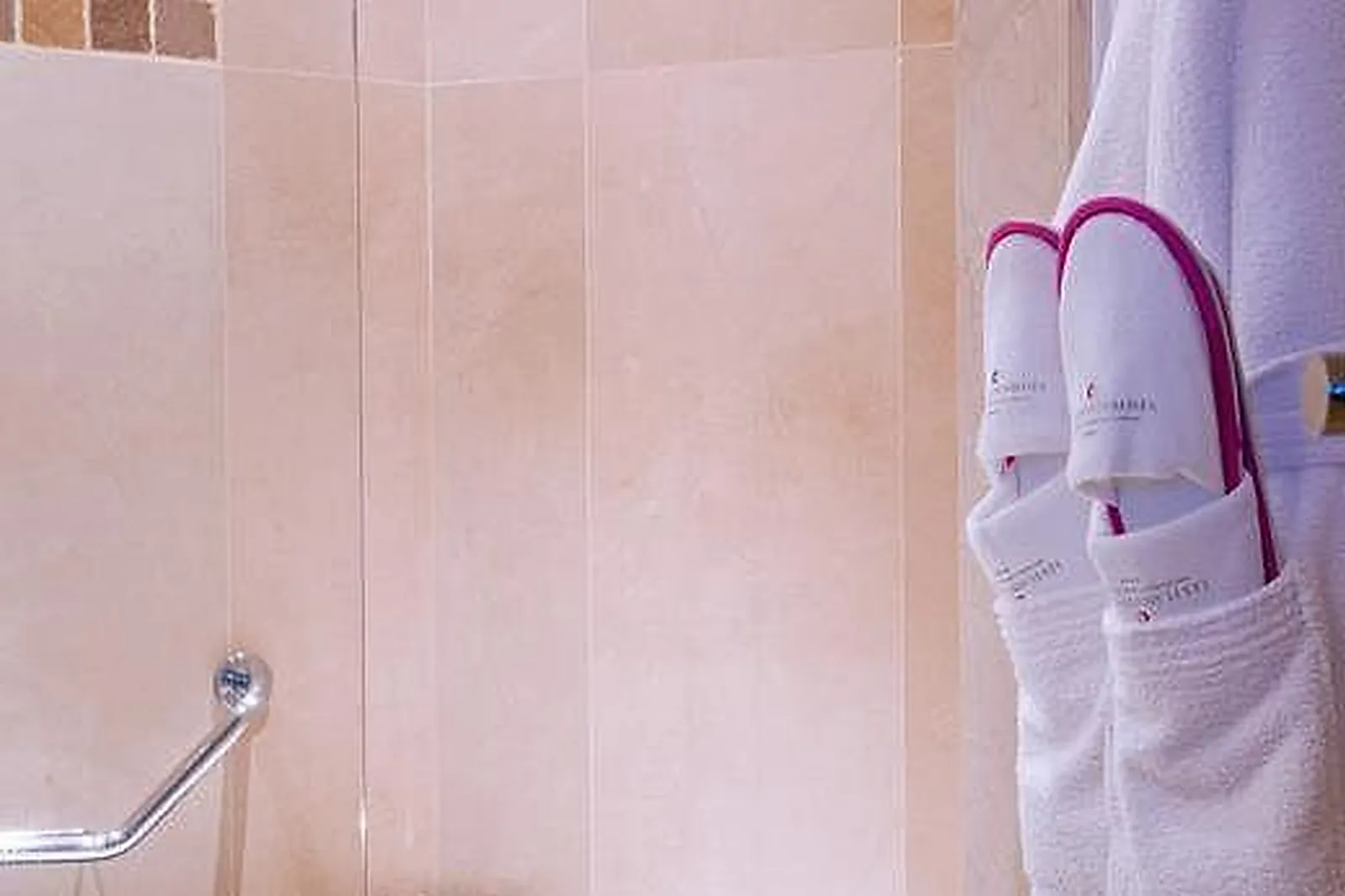 Lieux événementiels, LES FLAMANTS ROSES ****