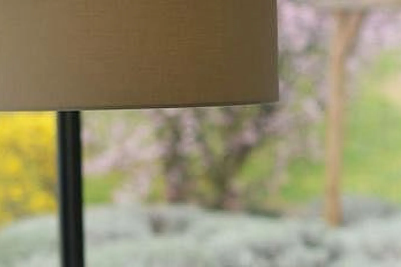 Lieux événementiels, LES GRAINS D'ARGENT ***