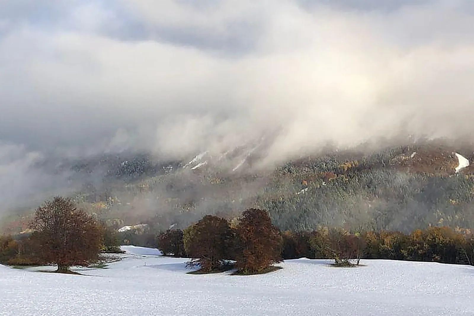 Lieux événementiels, LES GÎTES DES 3 SAPINS