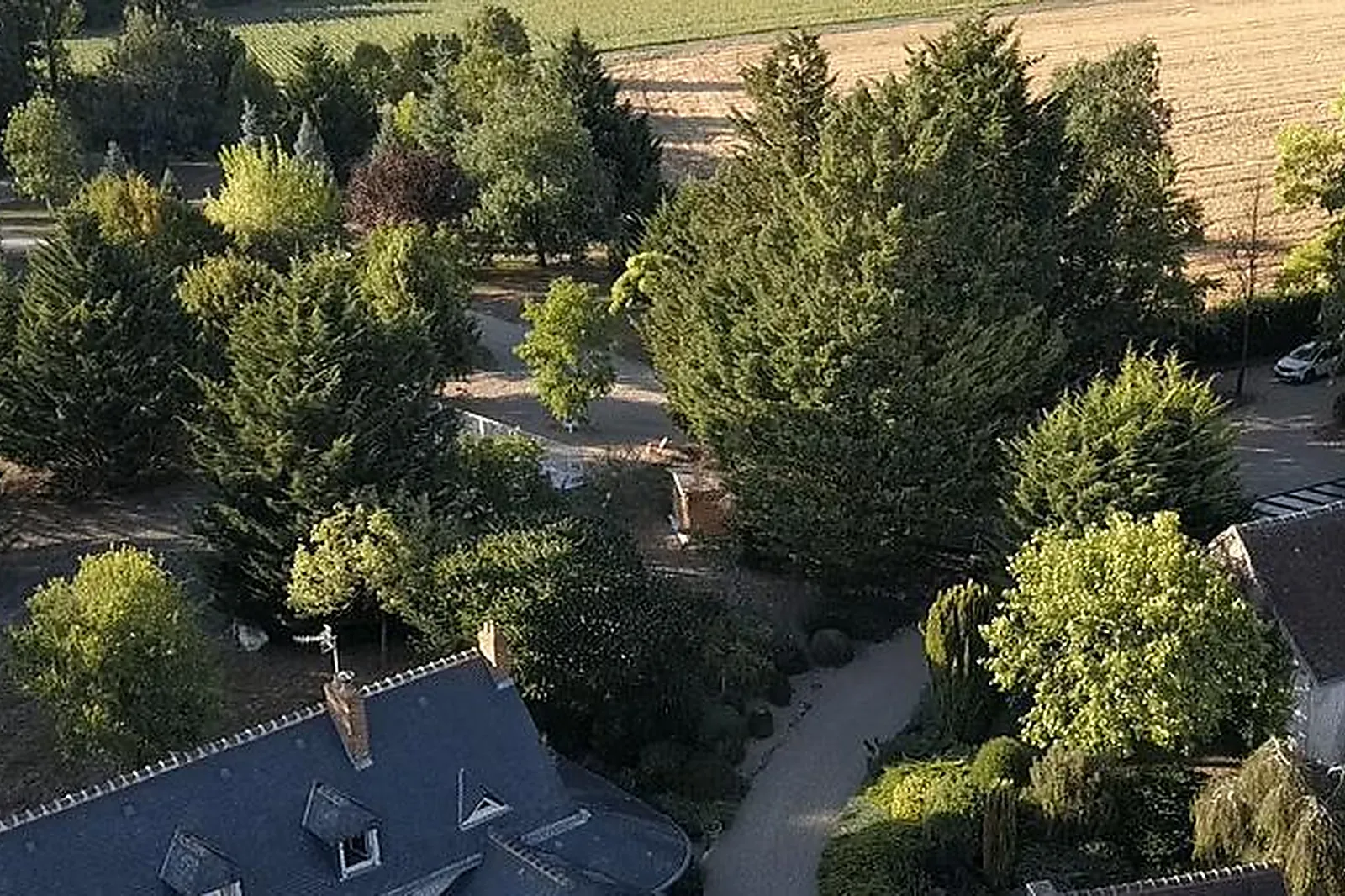 Lieux événementiels, LES HAUTS DE MANSE