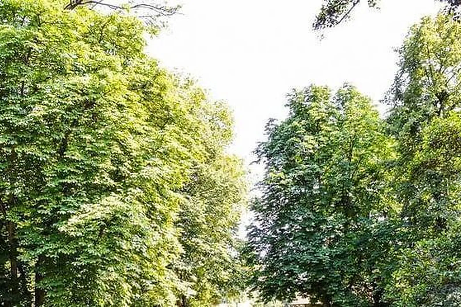 Lieux événementiels, LES JARDINS D'EPICURE ***