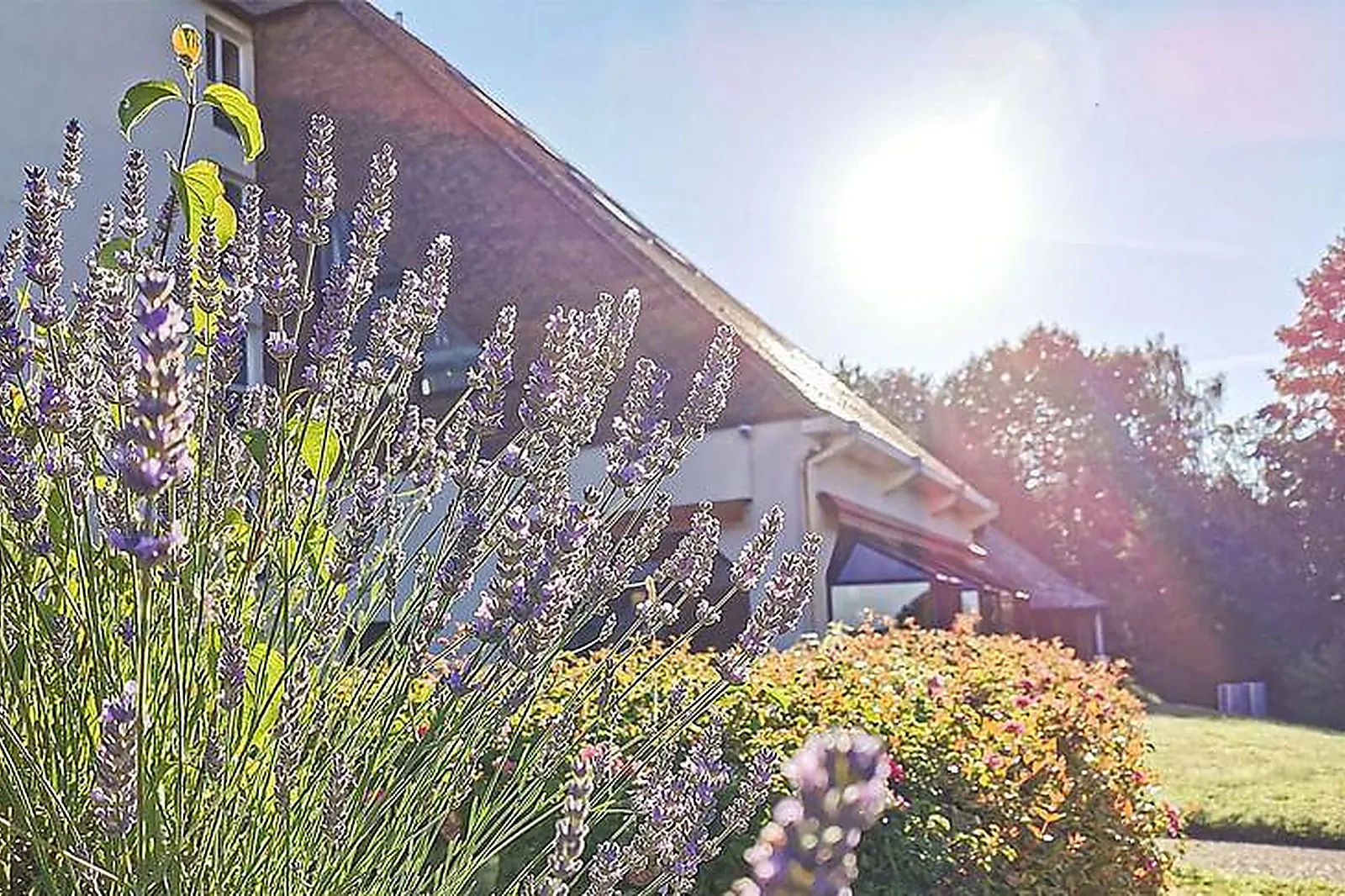 Lieux événementiels, HALL 22