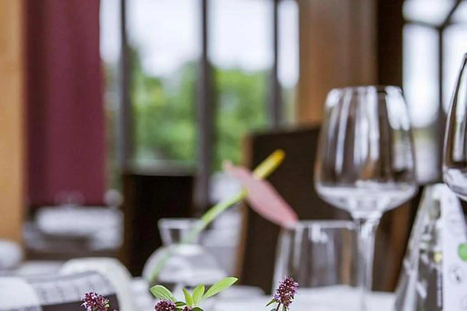 Lieux événementiels, HÔTEL IBIS STYLES MONTPELLIER AEROPORT PARC DES EXPOS