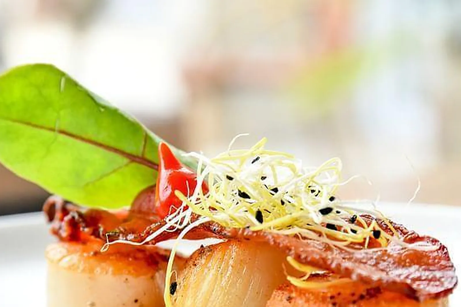 Lieux événementiels, LES JARDINS DE L'ANJOU