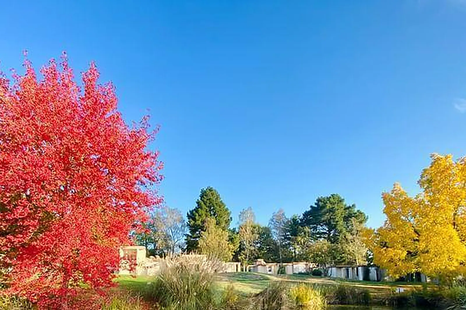 Lieux événementiels, LES JARDINS DE L'ANJOU