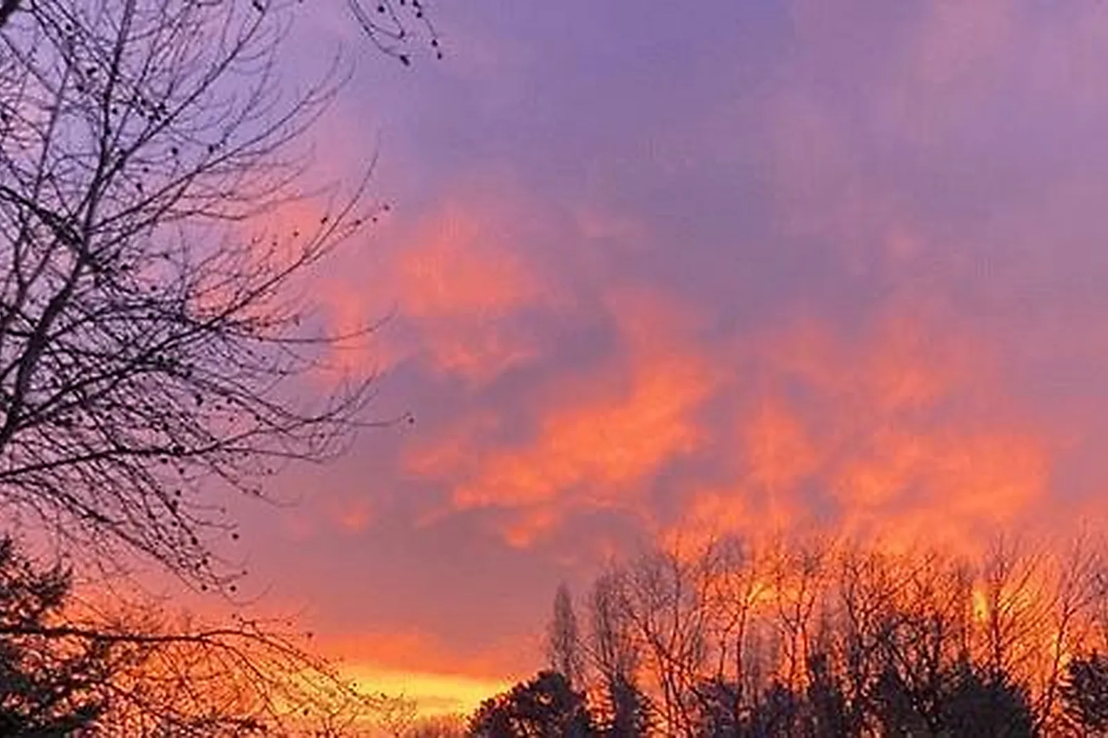 Lieux événementiels, LES JARDINS DE L'ANJOU