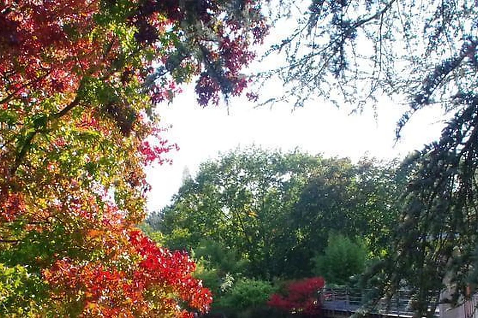 Lieux événementiels, LES JARDINS DE L'ANJOU