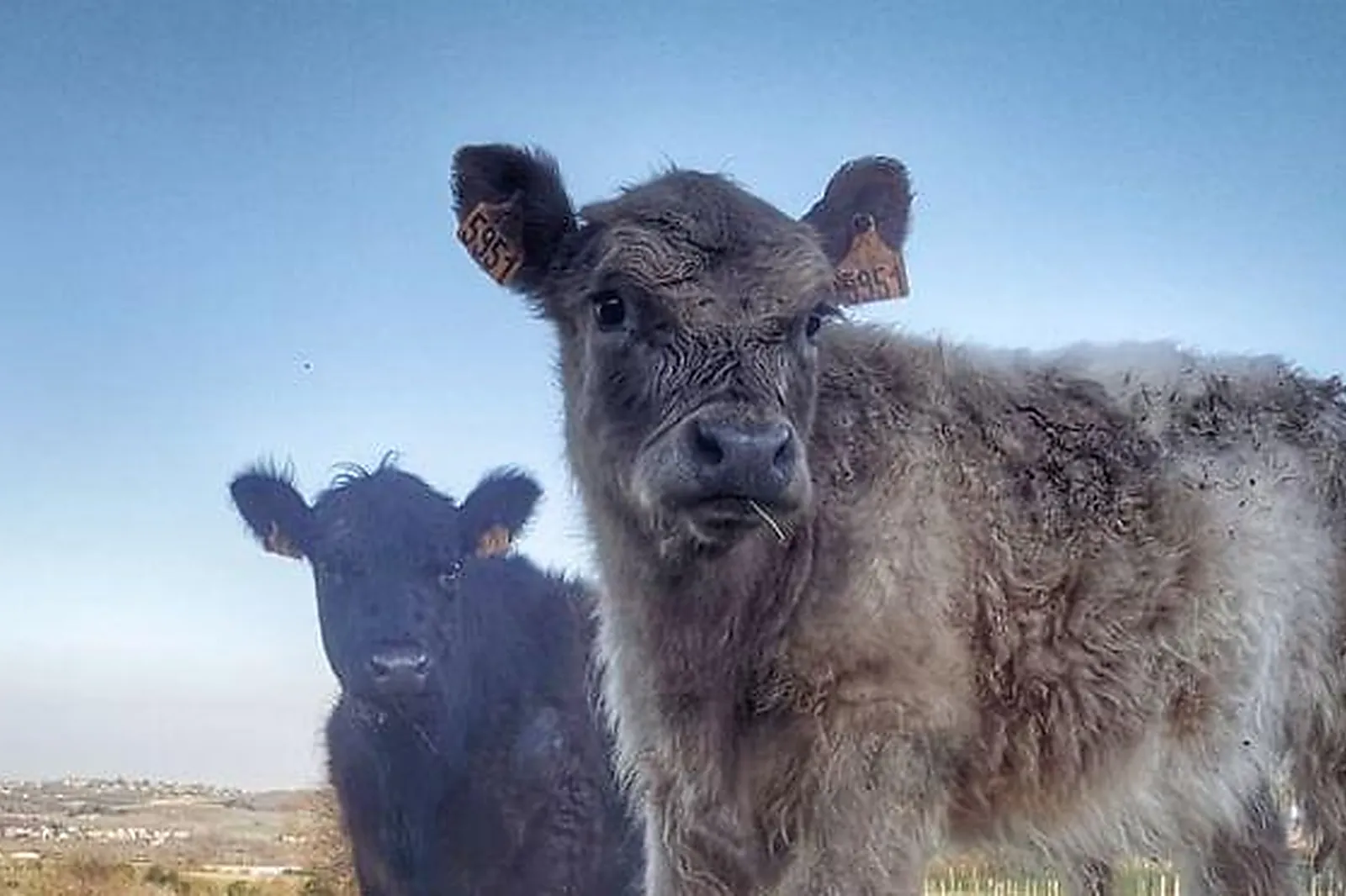 Lieux événementiels, LES JARDINS DU CLOS