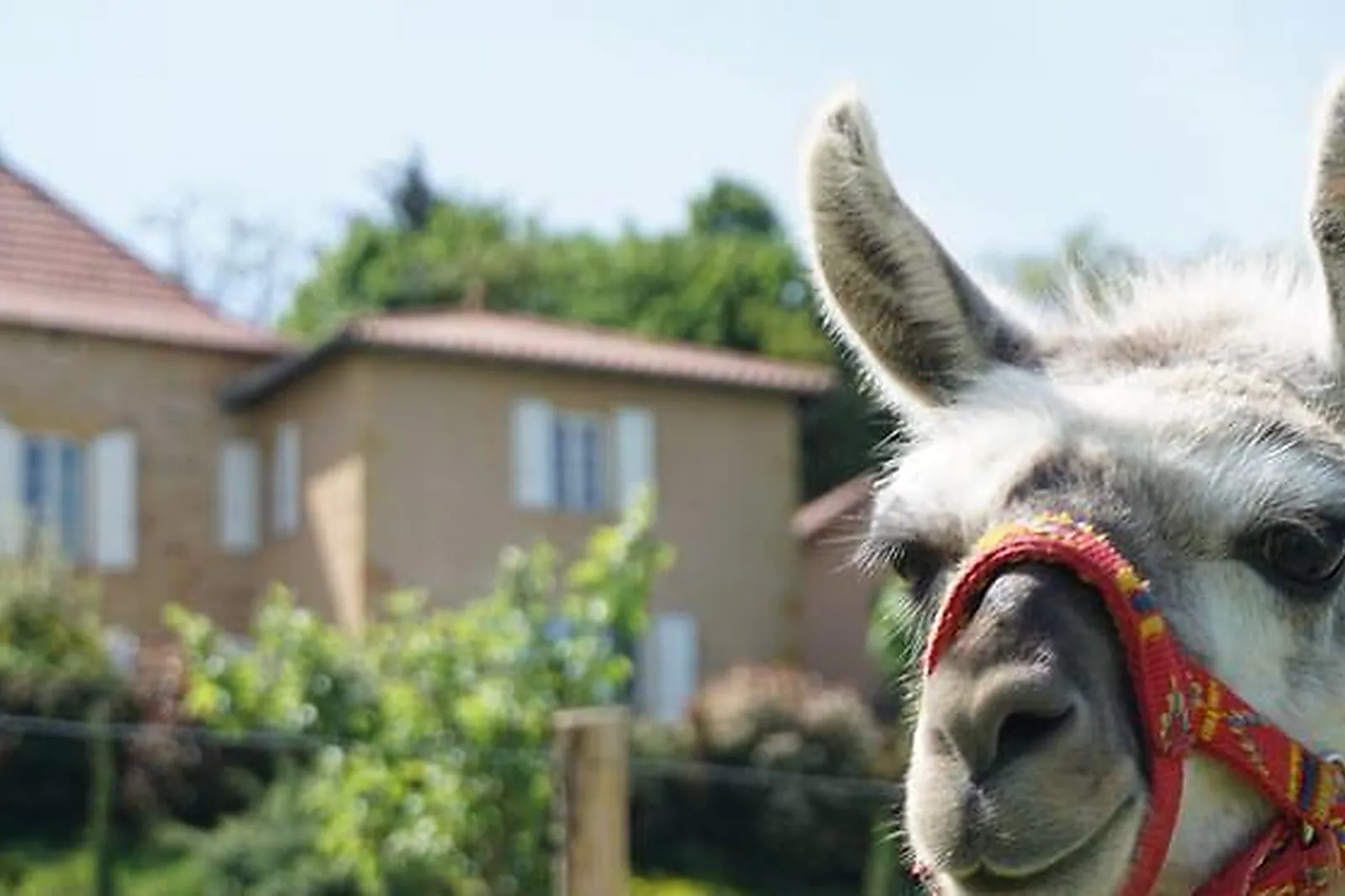 Lieux événementiels, LES JARDINS DU CLOS