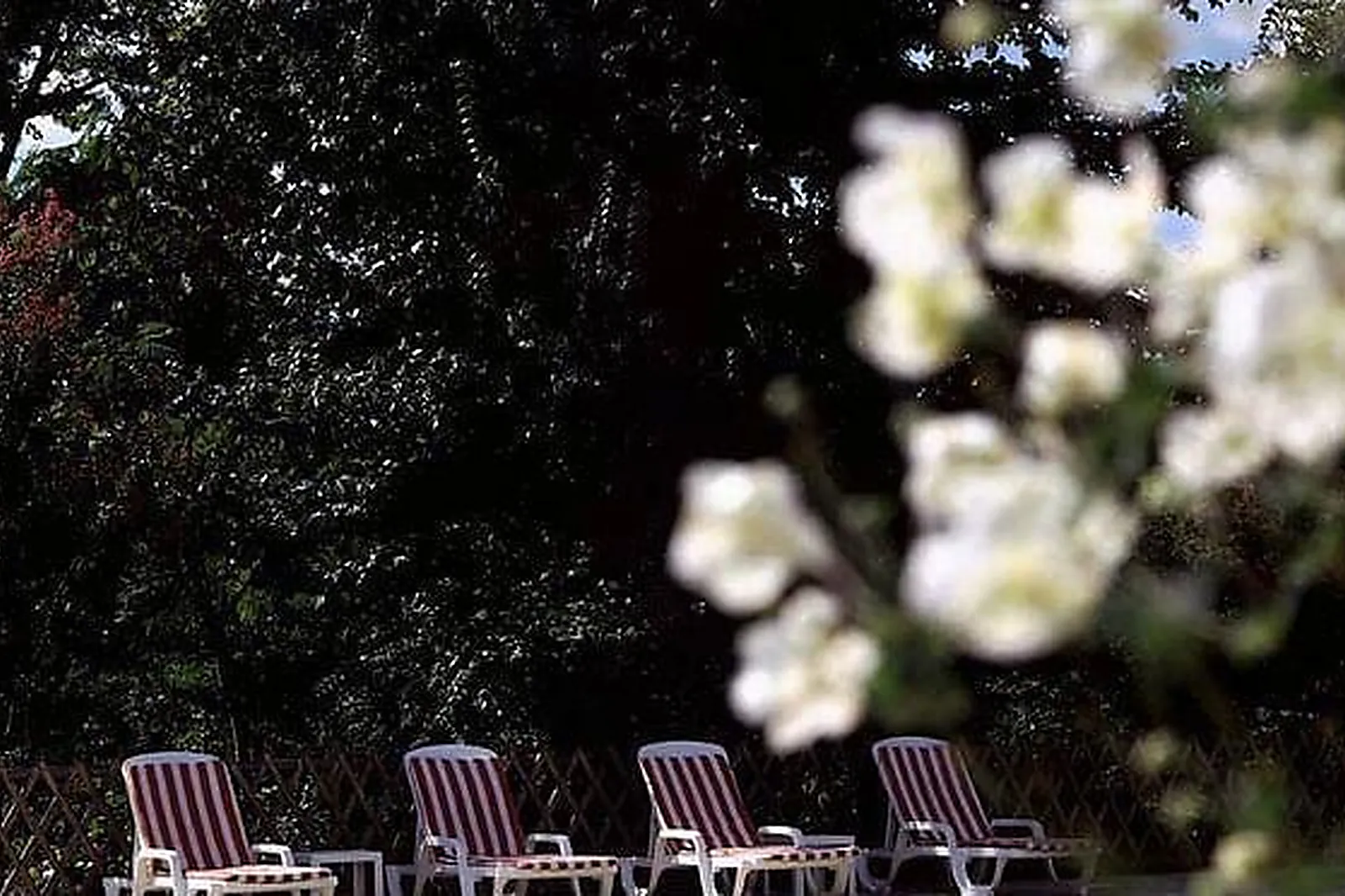 Lieux événementiels, LES LOGES DU PARC & SPA ****