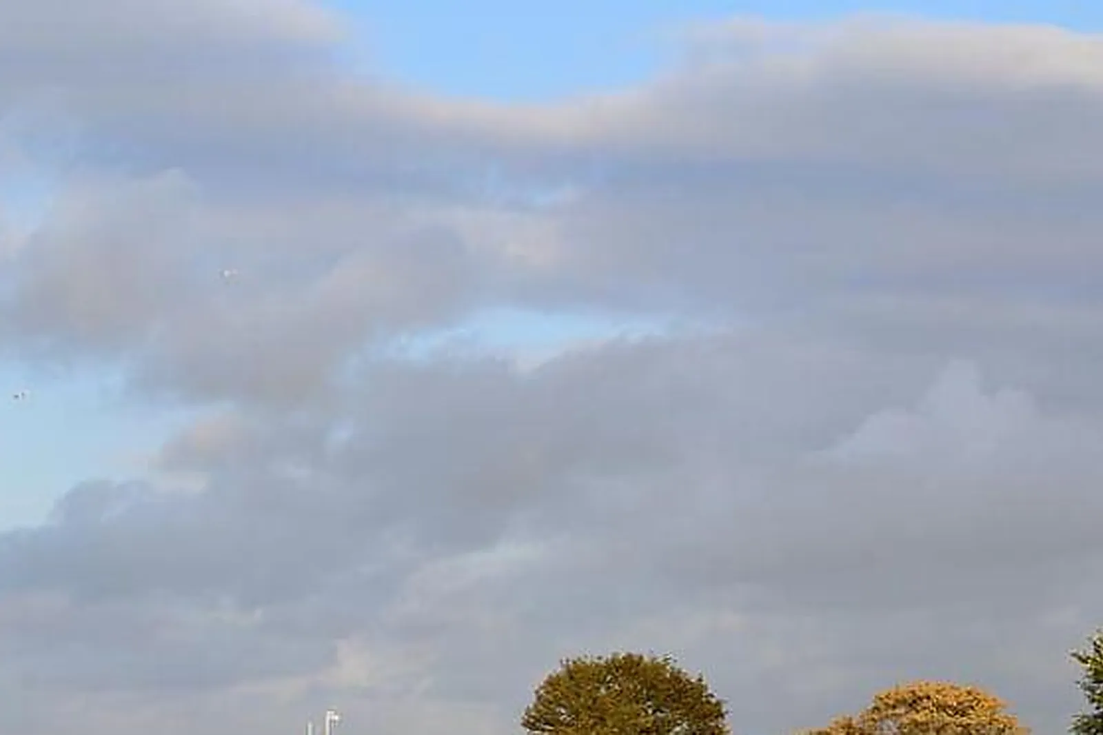 Lieux événementiels, LES PILOTES