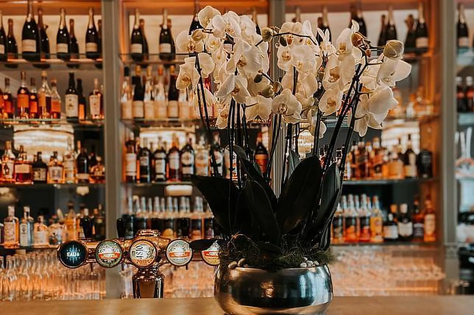 Lieux événementiels, LES SALONS D'ANTHOUARD