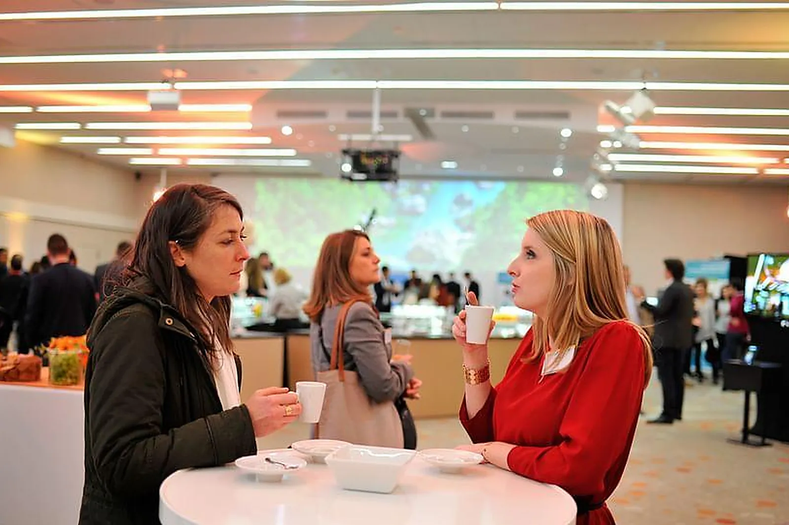 Lieux événementiels, LES SALONS DE L'AVEYRON - PARIS BERCY