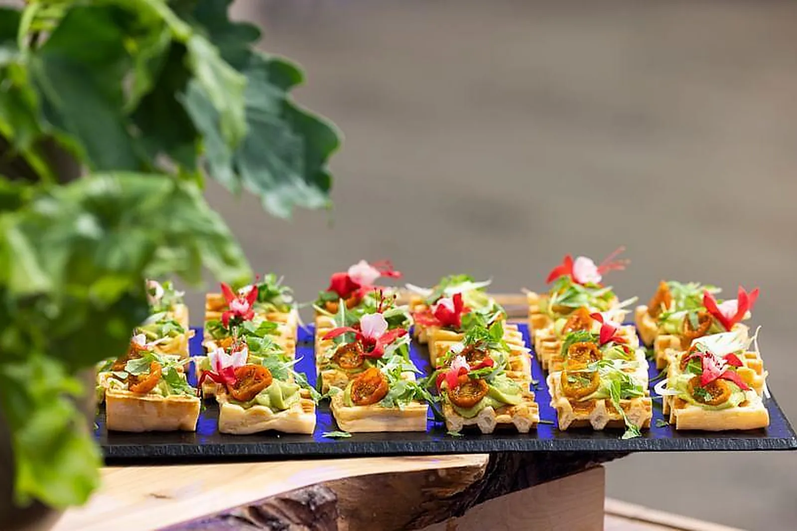 Lieux événementiels, LES SALONS DE L'AVEYRON - PARIS BERCY