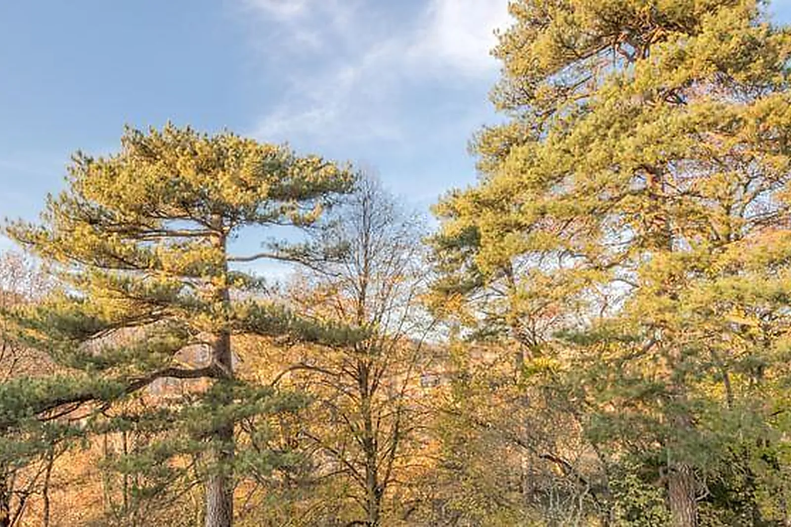 Lieux événementiels, LES SUITES DE L'ILE BARBE