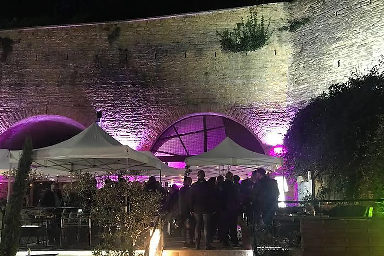 Lieux événementiels, LES VOÛTES EVENTS