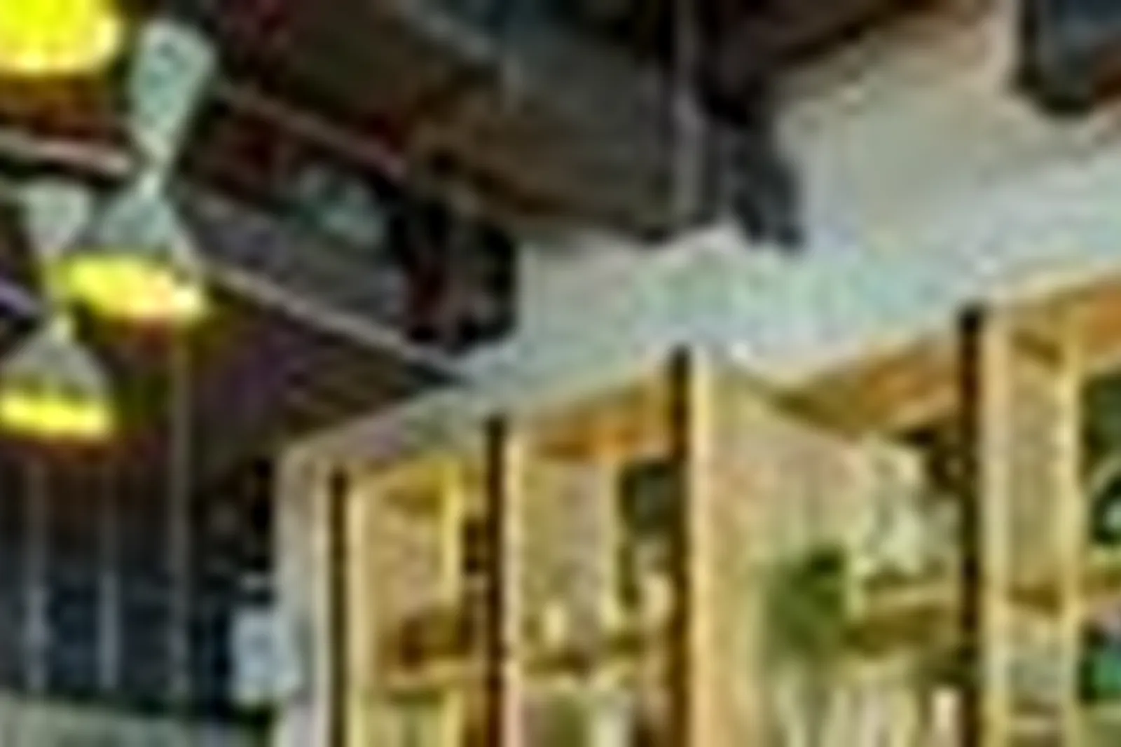 Lieux événementiels, LOFT ROBERTA