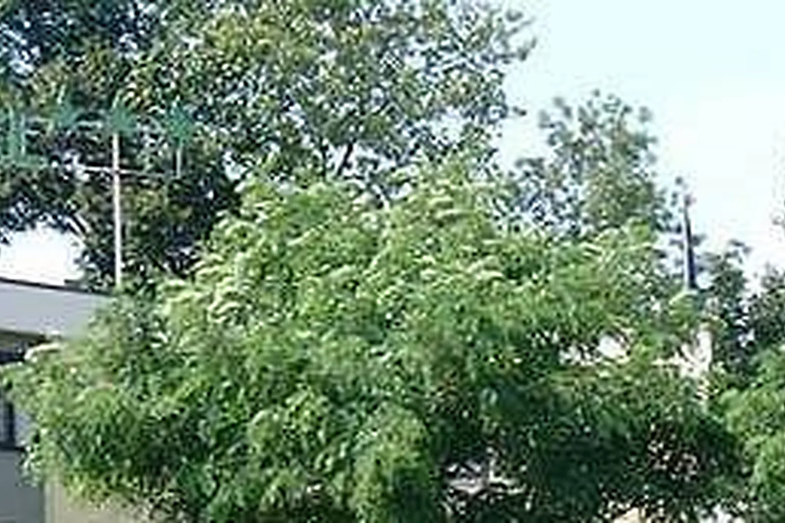 Lieux événementiels, LOGIS HÔTEL RESTAURANT DES ACACIAS LILLE TOURCOING ***