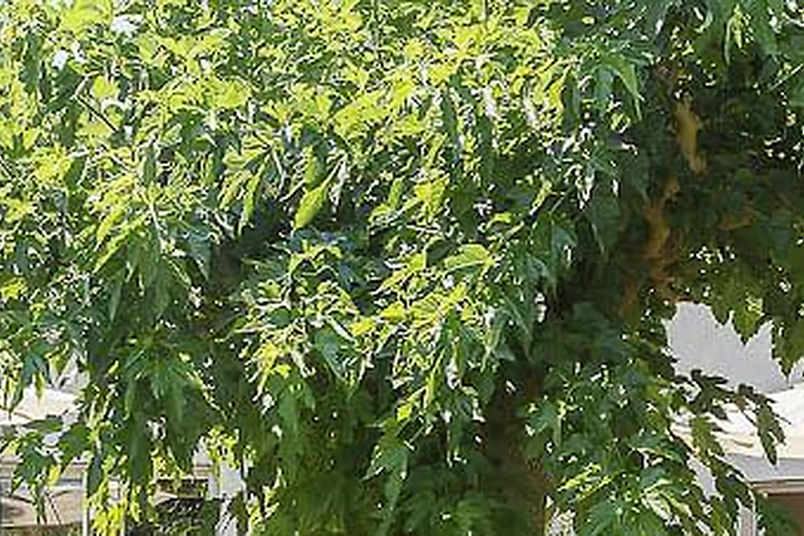 Lieux événementiels, THE DARK DREAMS