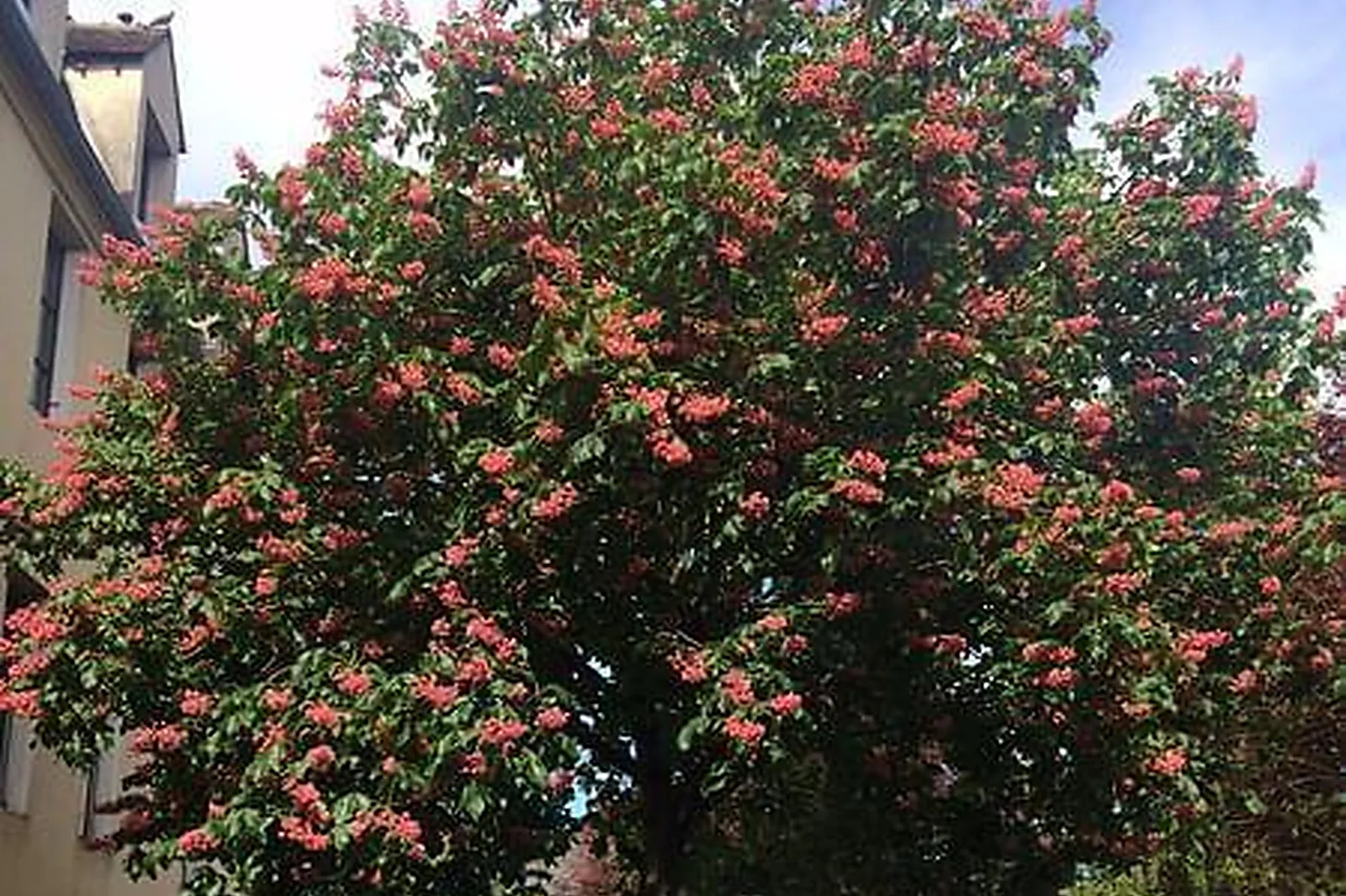 Lieux événementiels, LOGIS SAINT FRANÇOIS