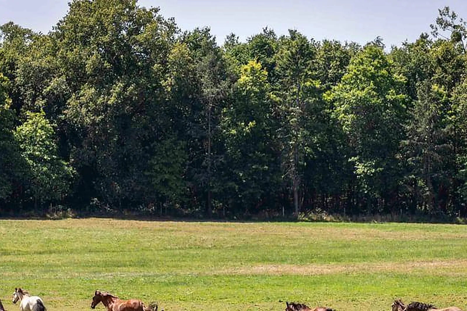 Lieux événementiels, L'ÉCO-DOMAINE DU CHALONGE