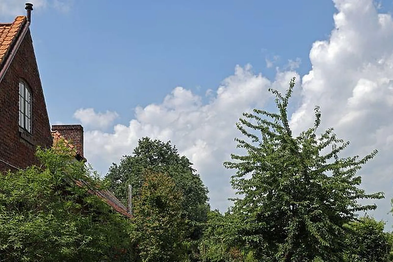 Lieux événementiels, LÉTABLI