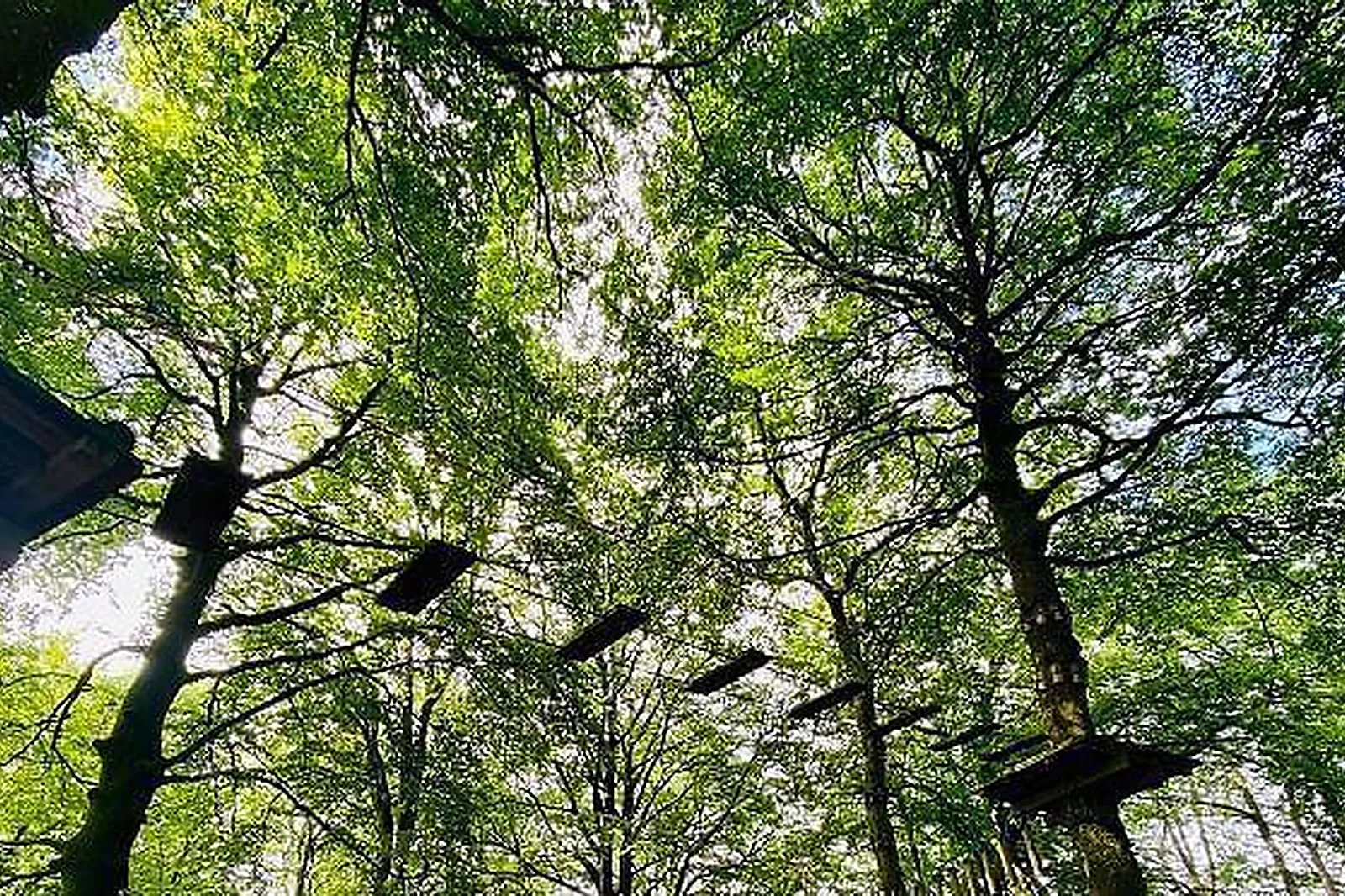 Lieux événementiels, L'ÉTAPE EN FORET