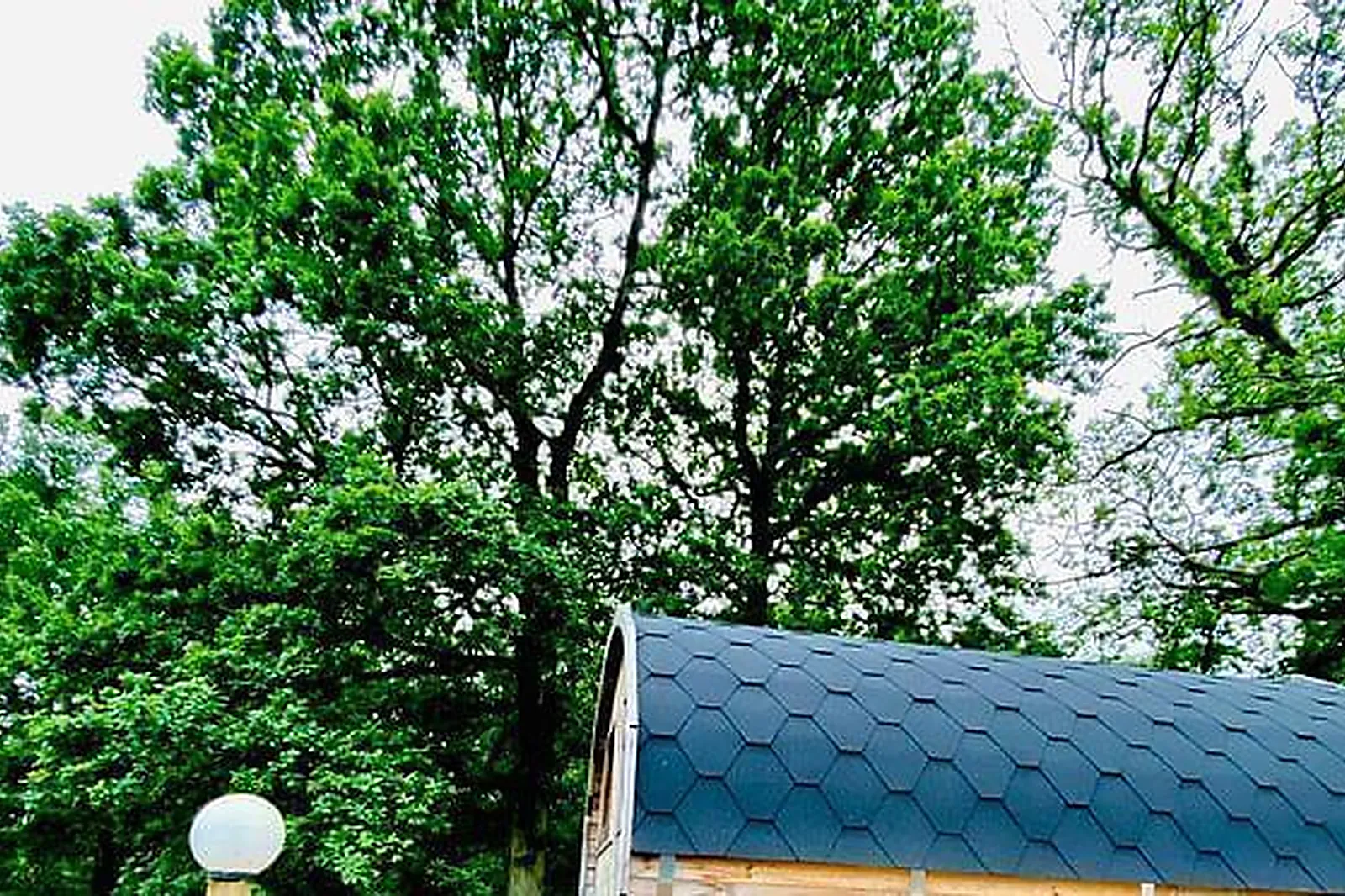 Lieux événementiels, L'ÉTAPE EN FORET