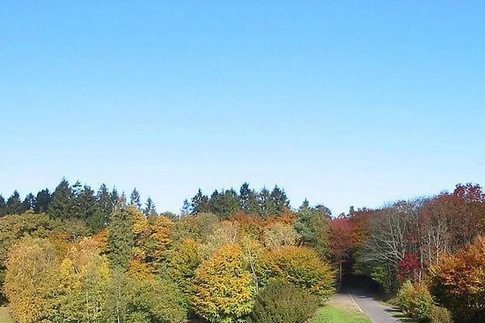 Lieux événementiels, L'ÉTAPE EN FORET