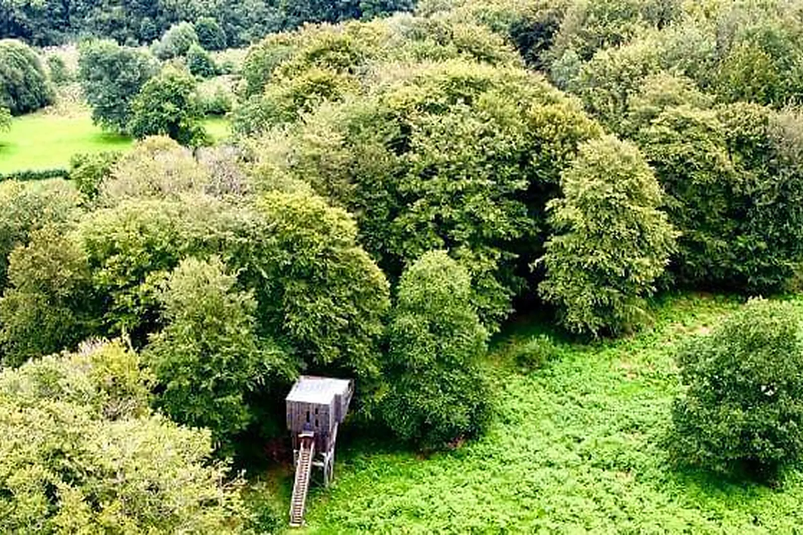 Lieux événementiels, L'ÉTAPE EN FORET