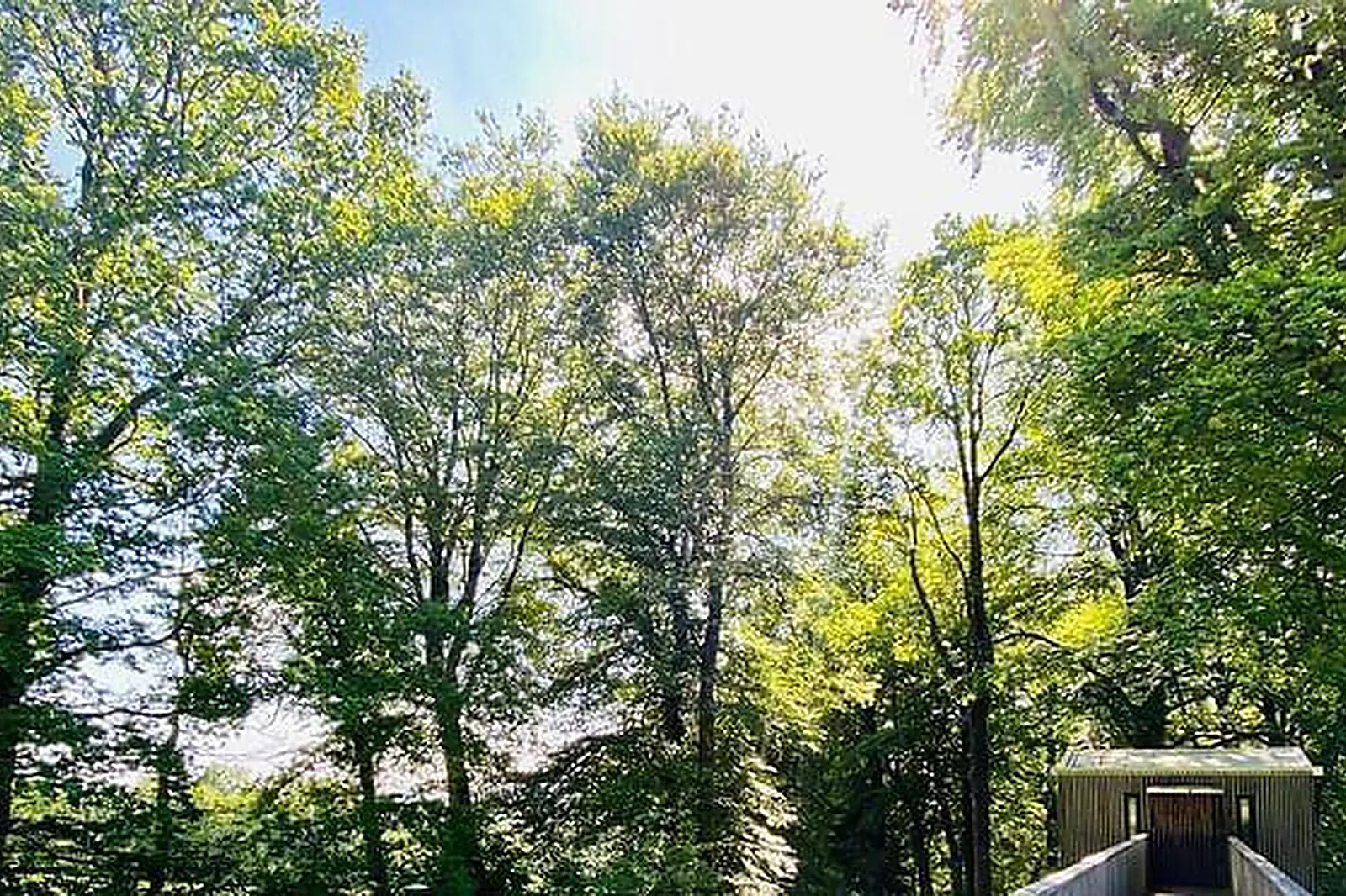 Lieux événementiels, L'ÉTAPE EN FORET