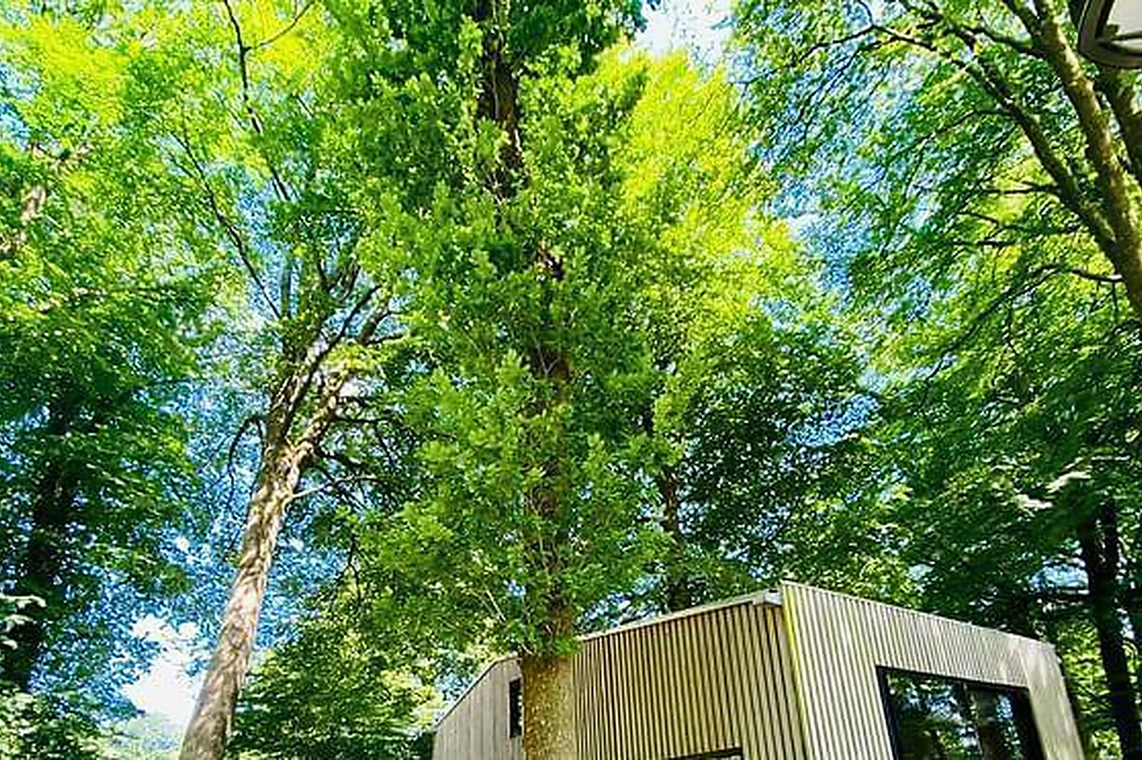 Lieux événementiels, L'ÉTAPE EN FORET