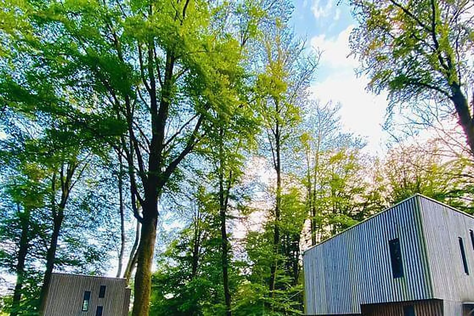 Lieux événementiels, L'ÉTAPE EN FORET