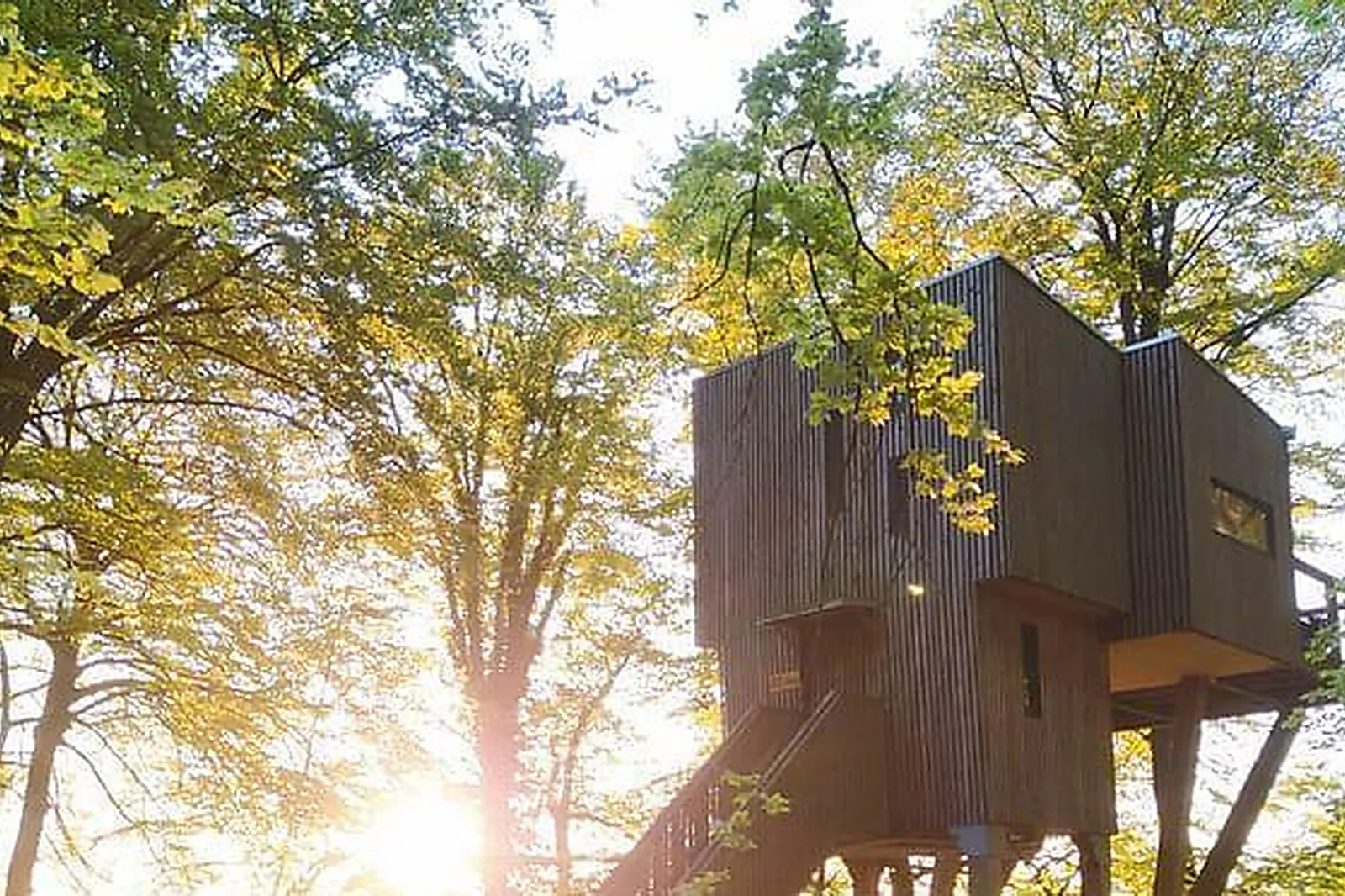 Lieux événementiels, L'ÉTAPE EN FORET