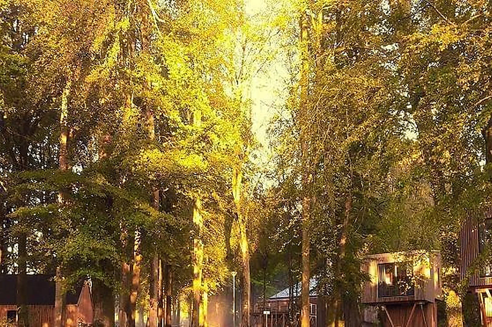 Lieux événementiels, L'ÉTAPE EN FORET