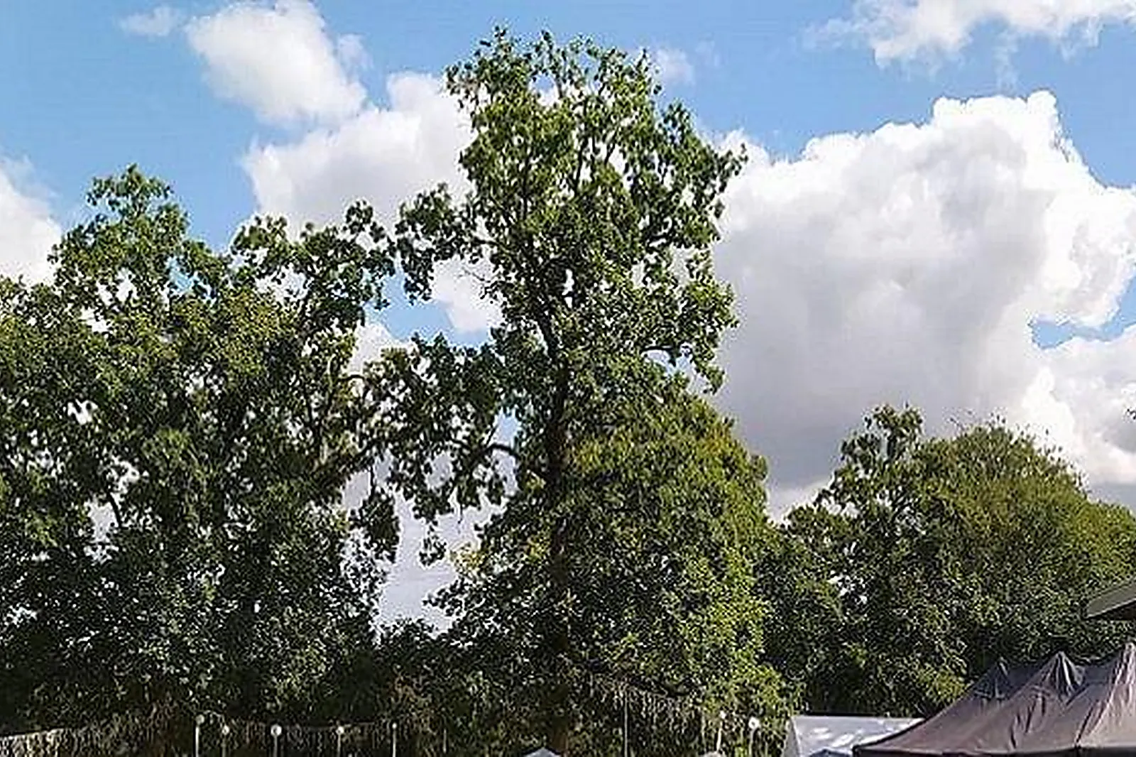 Lieux événementiels, L'ÉTAPE EN FORET