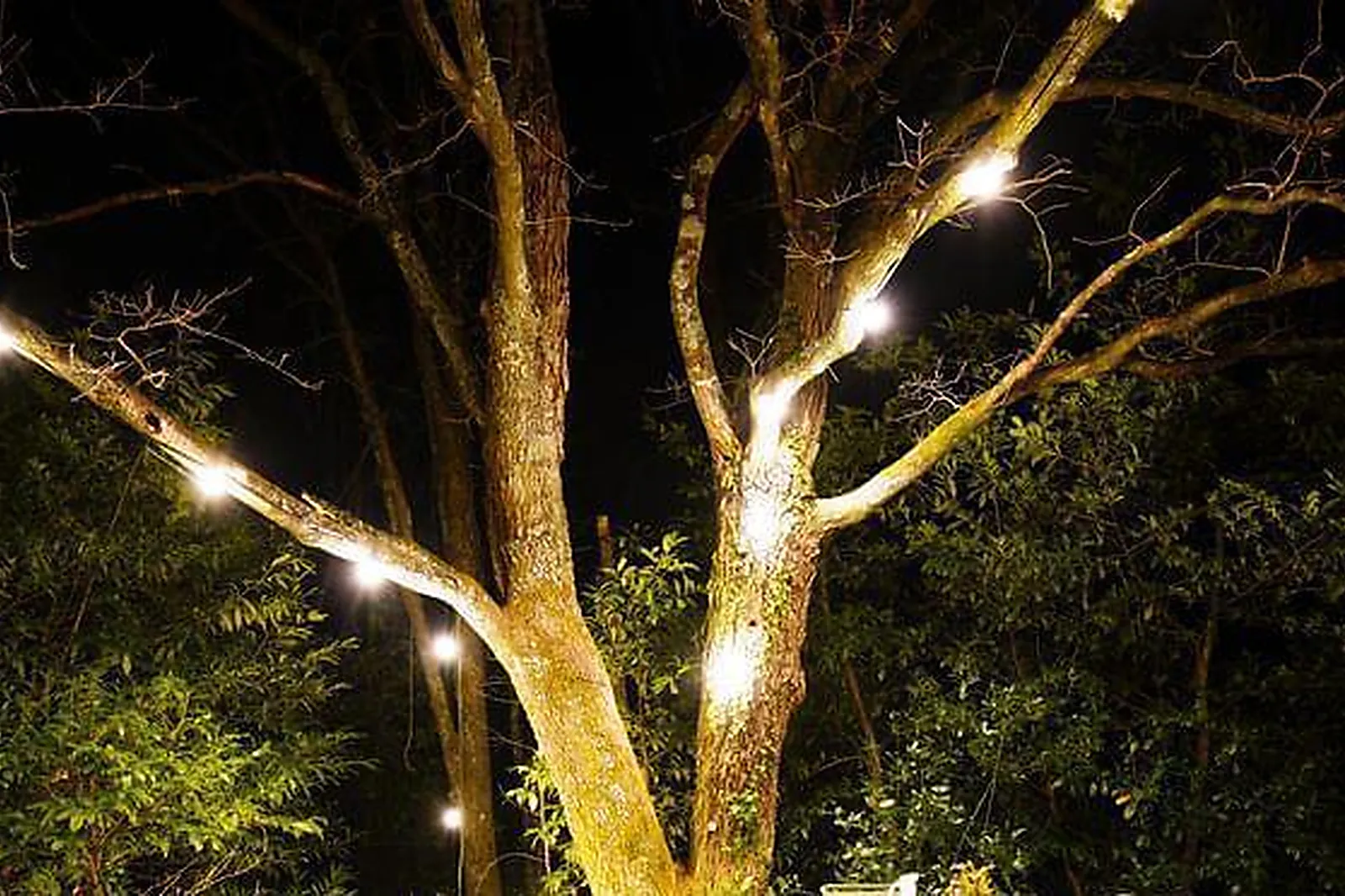 Lieux événementiels, MAISON BLANCHE ETXE XURIA